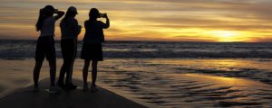 Three people silhouetted as they watch and take photos of a beach sunset